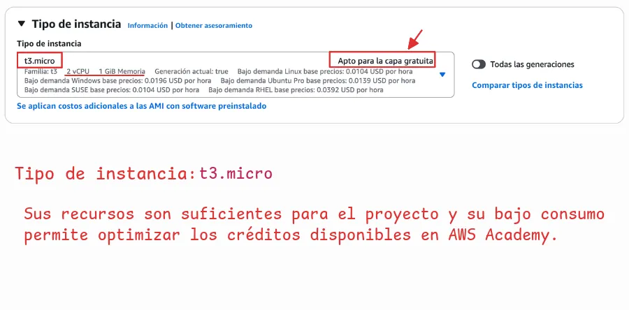 Seleccionar tipo de instancia