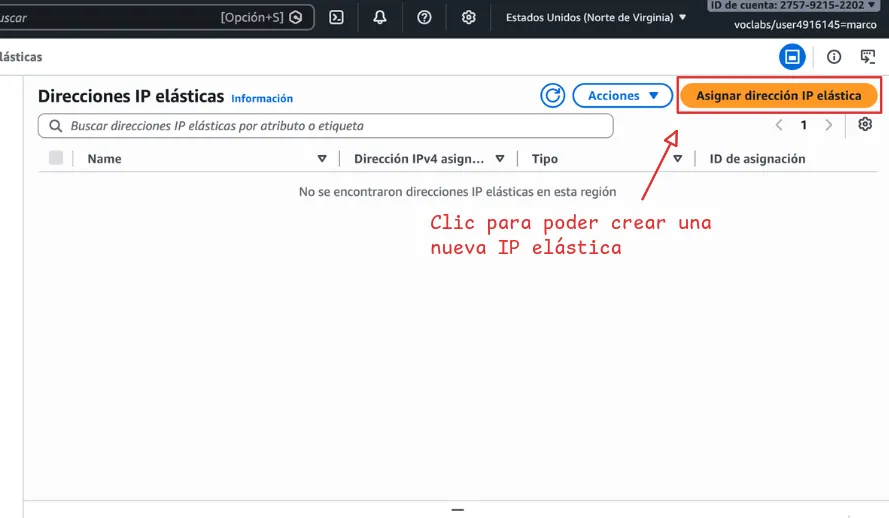clic en asignar nueva ip elástica