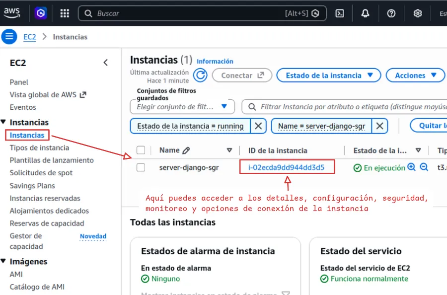 ingresar a los detalles de la instancia