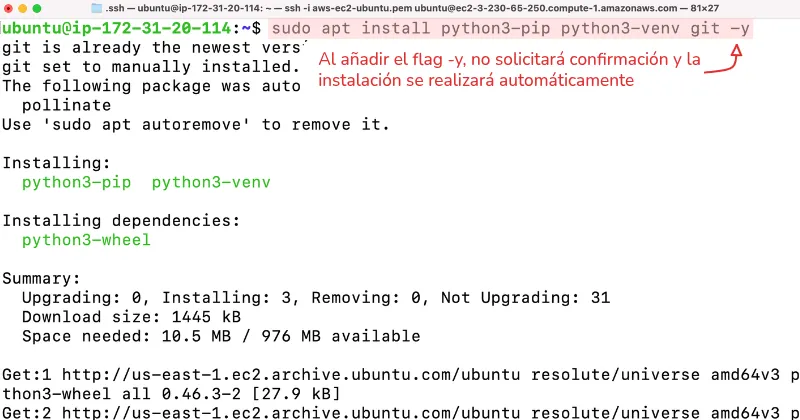 resumen y aceptar la actualización