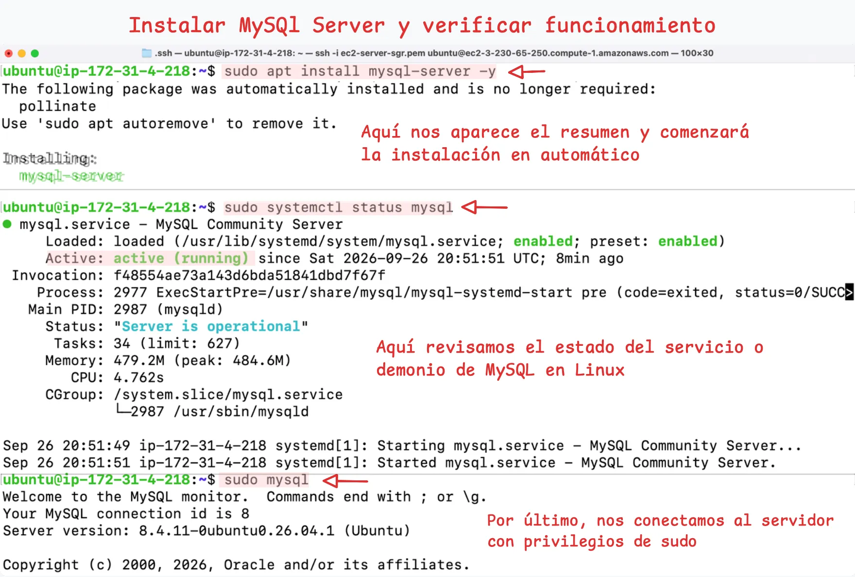 Instalar MySQL y verificar su funcionamiento